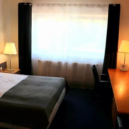ホテル Dvur 3*